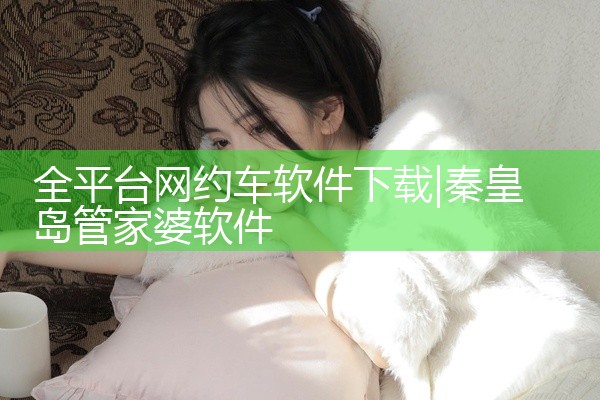 全平台网约车软件下载