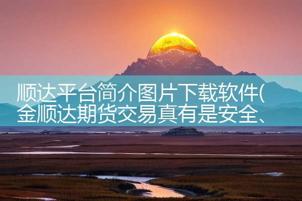 顺达平台简介图片下载软件