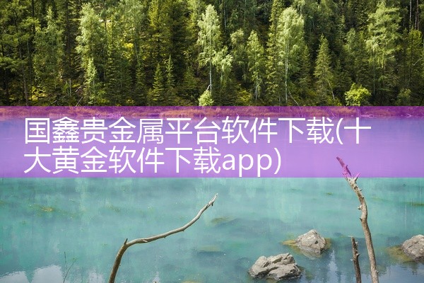 国鑫贵金属平台软件下载