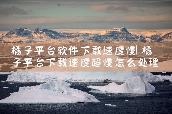 橘子平台软件下载速度慢