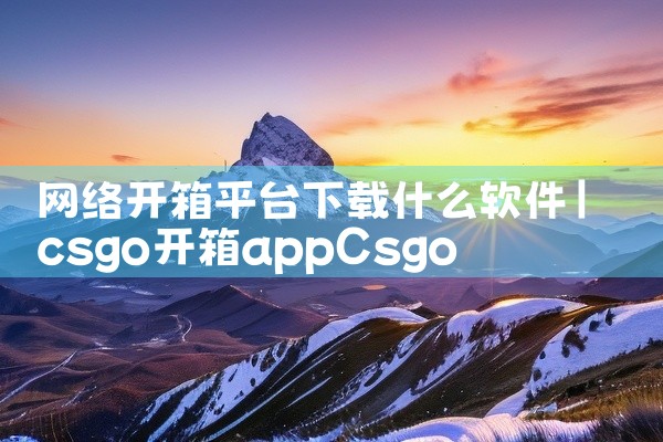 网络开箱平台下载什么软件