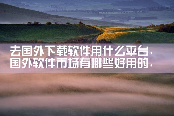 去国外下载软件用什么平台