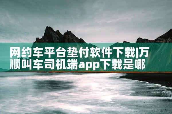 网约车平台垫付软件下载