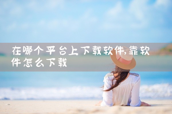 在哪个平台上下载软件