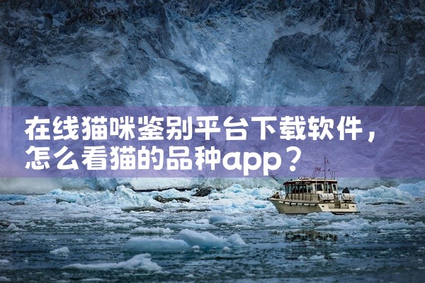 在线猫咪鉴别平台下载软件