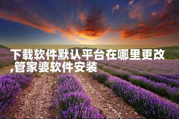下载软件默认平台在哪里更改